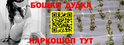 прущие грибы Усть-Джегута