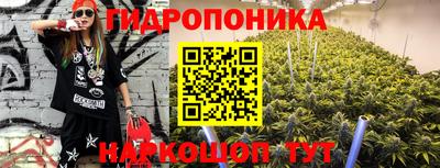 прущие грибы Усть-Джегута
