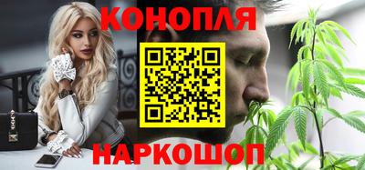 прущие грибы Усть-Джегута